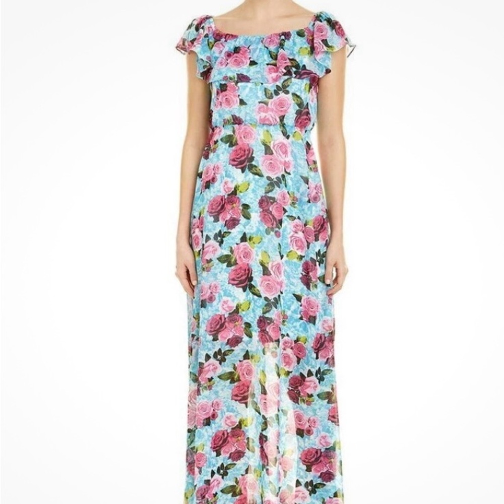 Betsey Johnson Pink and Blue Floral Maxi Dress-NWT